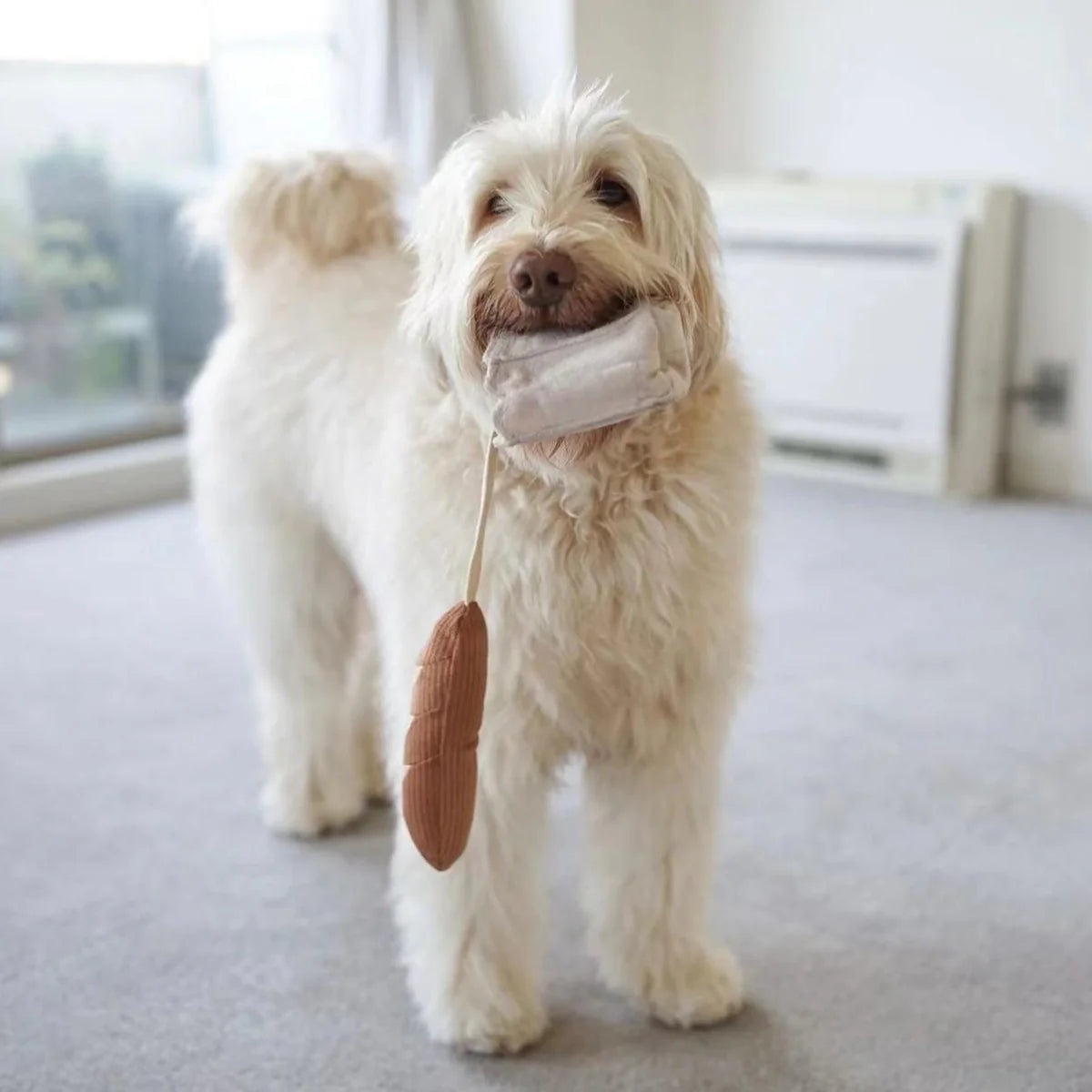 MINI-BAGUETTE Schnüffelspielzeug