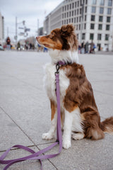 Hejnika Merida Halsband Merida Umhaengeleine Mauve Biothaneleine