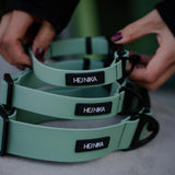 Hejnika Shop Merida Halsband Sage wasserabweisendes Hundehalsband in salbei