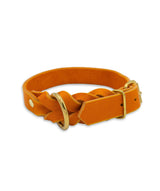 Fettlederhalsband Wall Street Golden Fox