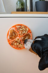 Schleckmatte Sahara Apricot